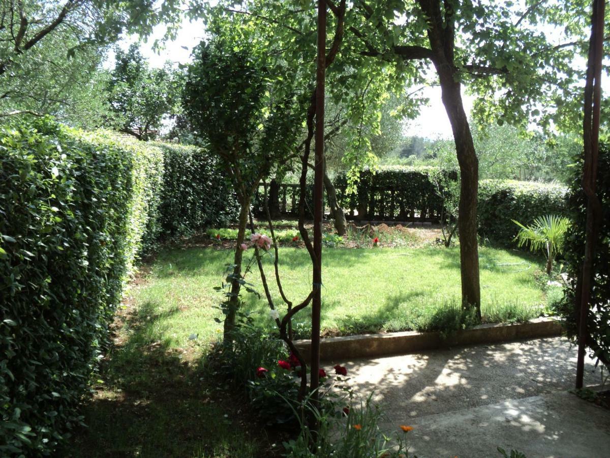 Apartment Martina Biograd Na Moru Bagian luar foto