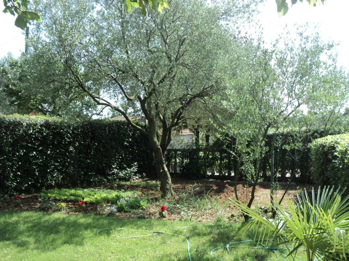 Apartment Martina Biograd Na Moru Bagian luar foto